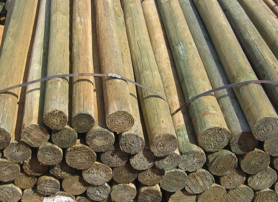 Treated Pine Poles